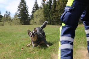 2018 Ausbildungswoche Arber